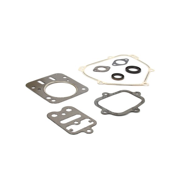 Briggs & Stratton GASKET SET-ENGINE 557110